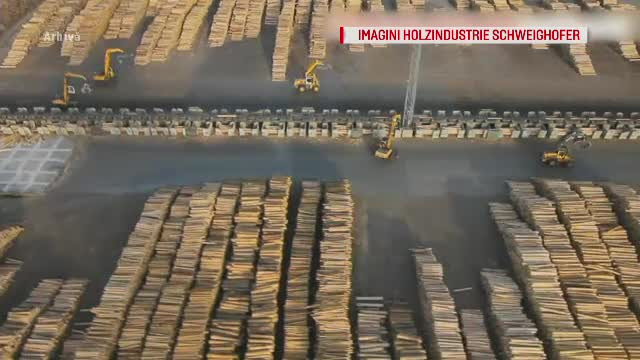 Pădurile defrișate ale României. Șase persoane de la Holzindustrie, urmărite penal