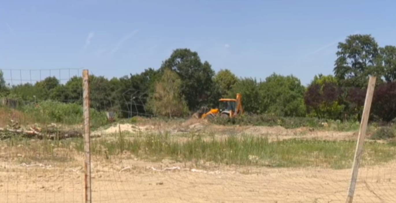 Defrișări în voie în Parcul Tineretului, deși primăria susține că nu a dat aviz