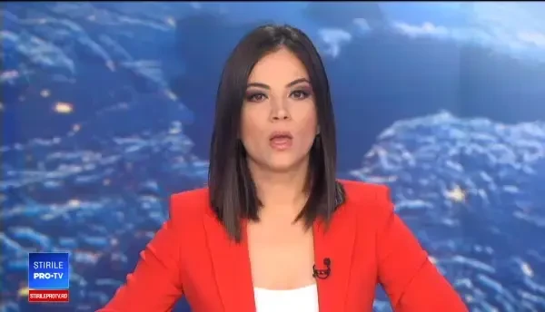 Pădurile defrișate ale României. Șase persoane de la Holzindustrie, urmărite penal