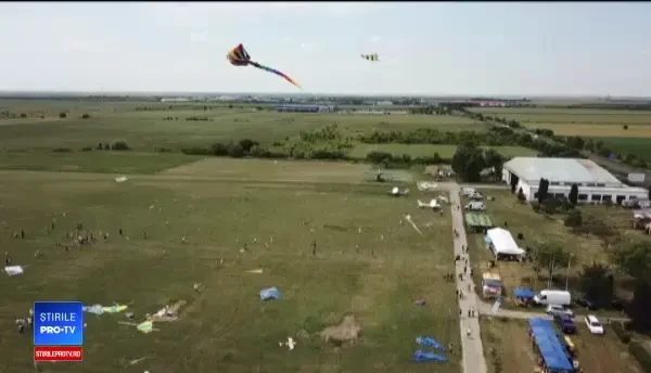 Zeci de zmeie au fost ridicate vineri la Timișoara. Cât poate costa unul