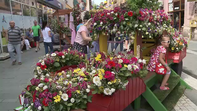 Zeci de mii de flori, expuse pe străzile din Arad