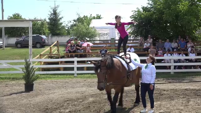 Terapia asistată de cal, în ajutorul copiilor cu depresii sau cu sindromul Down