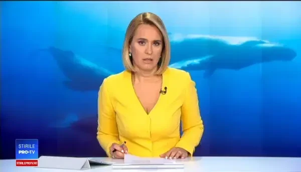 Descoperire sinistră în stomacul unui pui de balenă. Cât plastic înghiţise animalul