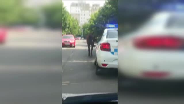 Un echipaj de poliție a escortat un cal pe străzile din Bacău