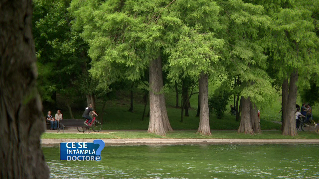 Cât de importantă este mișcarea pentru organismul uman