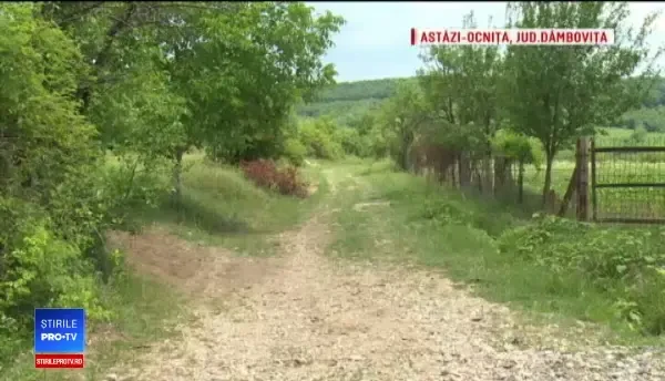 Bătrân bolnav de Alzheimer dispărut de la casa de vacanță din Dâmbovița. Cea mai mare teamă a familiei