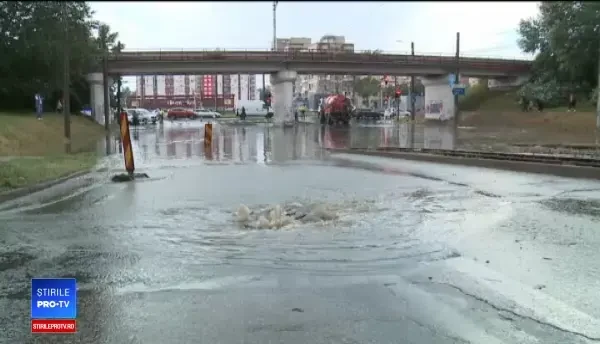 Furtunile din vest au doborât copaci și au răsturnat un acoperiș. În Arad au ieșit șobolanii