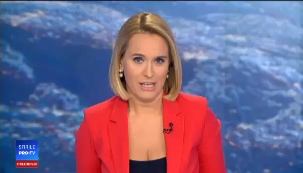 Un aligator s-a plimbat liber printr-un cartier din Florida