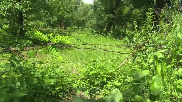 Un bărbat din Dâmboviţa a murit înfipt în gard, la o zi după ce şi-a prezis moartea