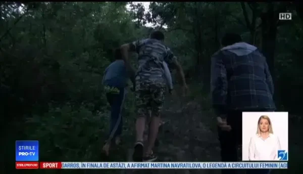 Fetiță de 5 ani, din Bacău, dispărută, după ce a plecat în pădure să-și caute fratele