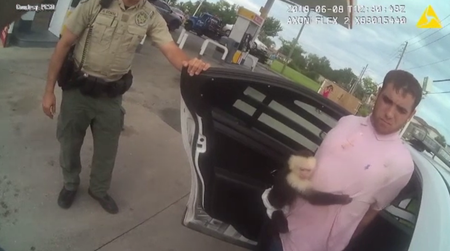 Reacția unei maimuțe atunci când stăpânul ei este încătușat de poliție. VIDEO