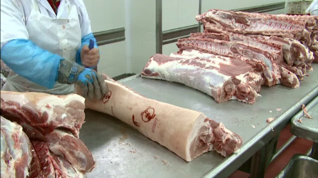 Alertă de pestă porcină africană în Delta Dunării. Autoritățile au confirmat patru focare