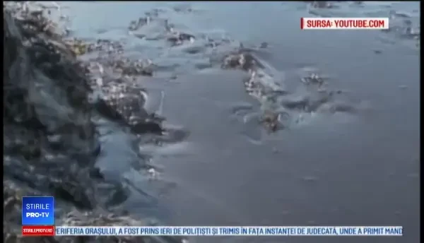 Concert Scorpions, marți seară, la București. Este un sentiment plăcut să revin aici