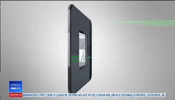 Primăriile plantează copaci care pot provoca alergii grave: platani şi mesteceni