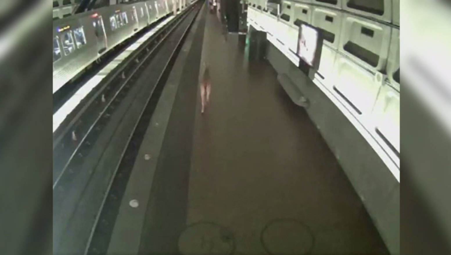 O căprioară a ajuns din greșeală într-o stație de metrou. Reacția pasagerilor