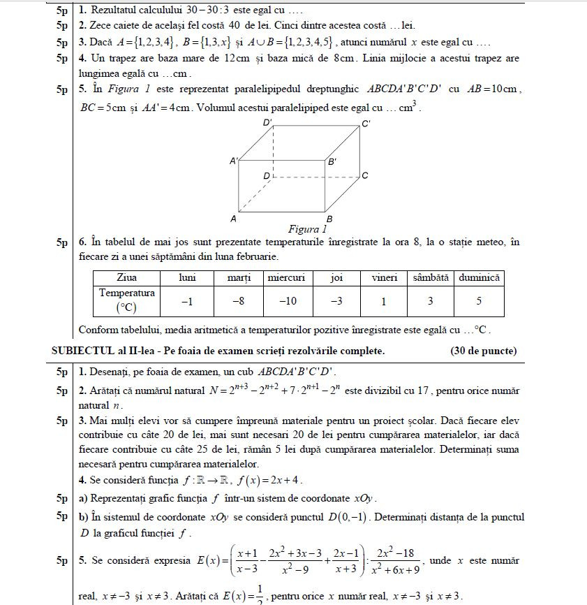 subiecte matematica