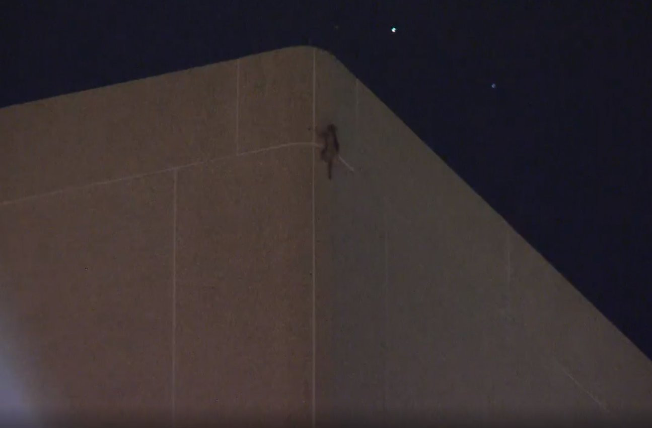 Raton, surprins cățărându-se la ultimul etaj al unui zgârie-nori. Cum a ajuns acolo. VIDEO