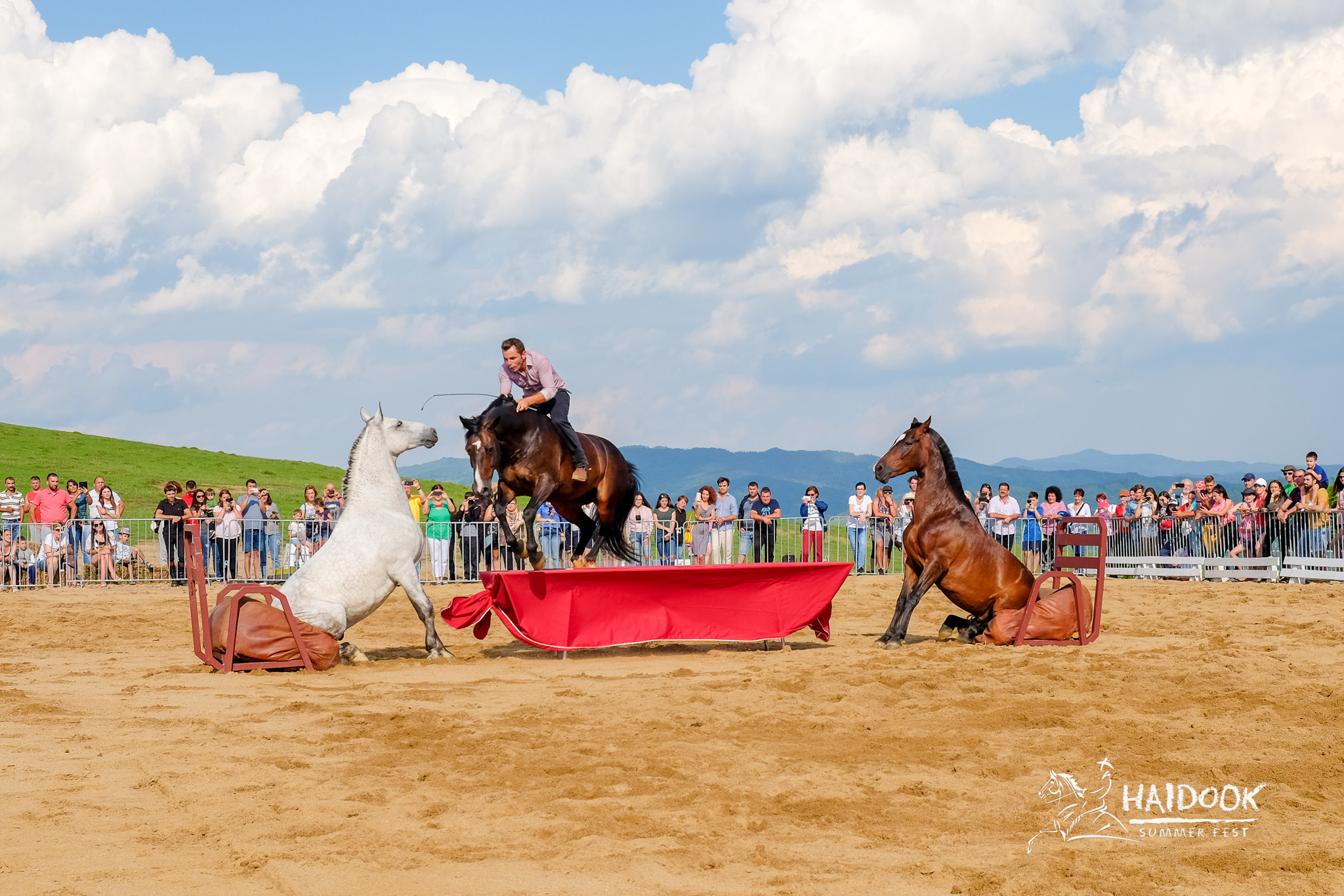 Haidook Summer Fest. Trei zile de show-uri cu haiduci și demonstrații cu cai