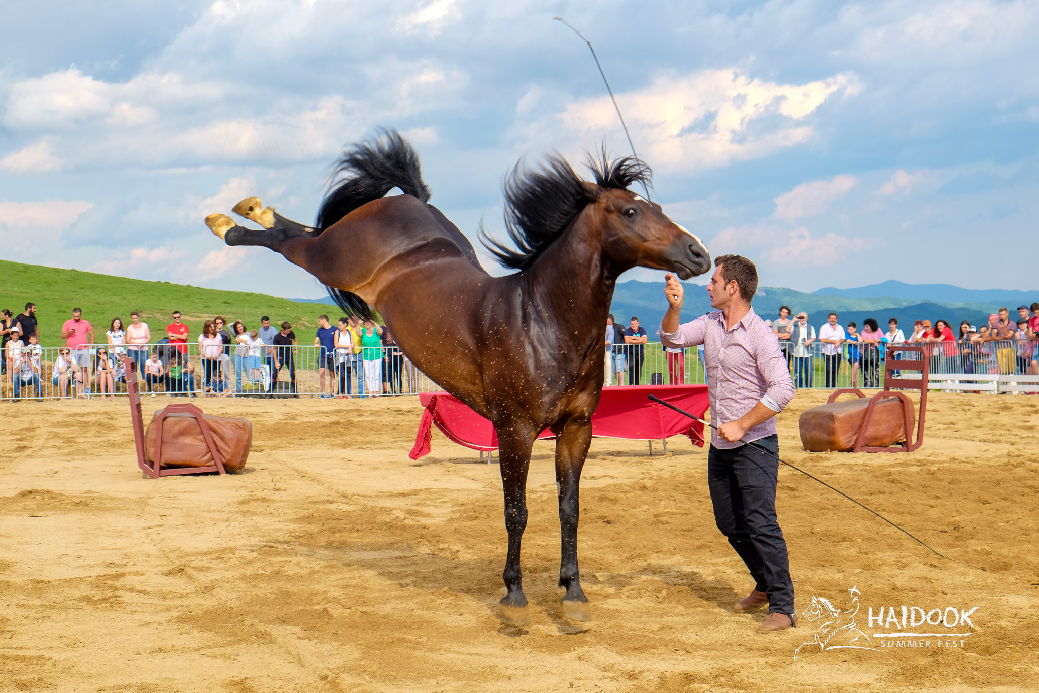 Haidook Summer Fest