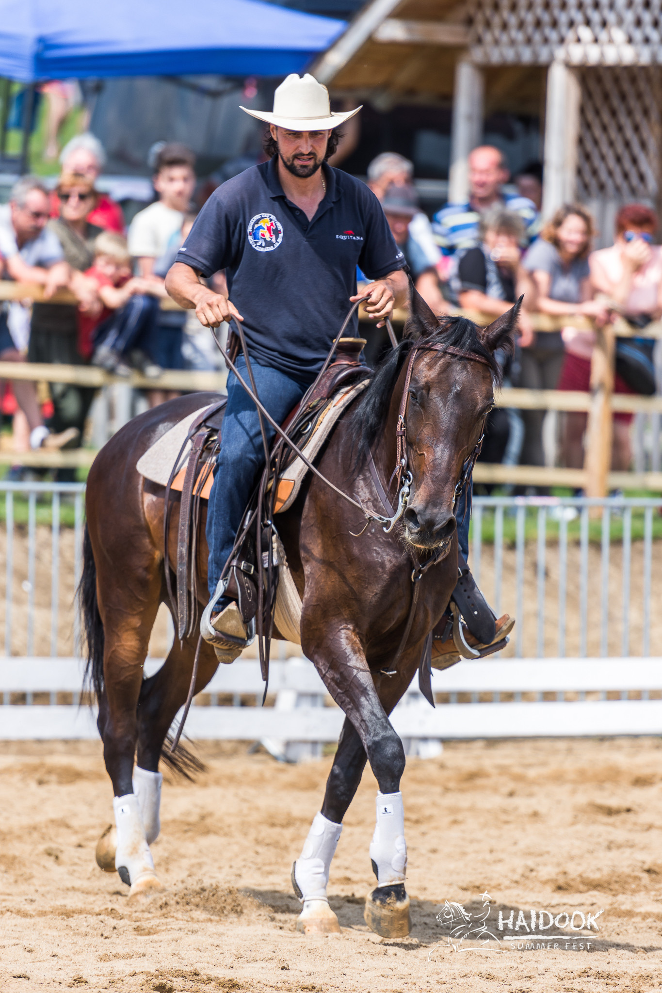 Haidook Summer Fest, Denis Stefan