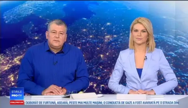 S-au trezit cu ursul la geamul mașinii, pe Transfăgărășan. Ce a urmat