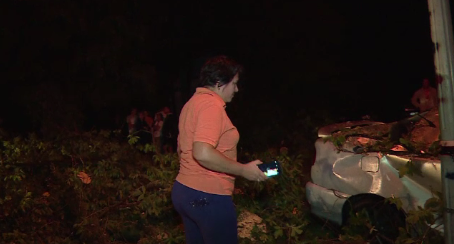 Vijelii puternice în toată țara. Mașini distruse de copacii dărâmați de vânt