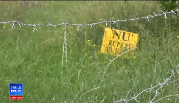 Rezervaţie unică în Europa, vandalizată. Florile se ofilesc imediat ce sunt tăiate