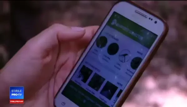 Telefoane montate în copaci pentru a-i depista pe hoţii de lemne şi pe braconieri