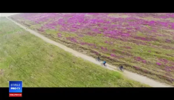 Bicicleta electrică, ideală pentru a străbate orice fel de traseu de la munte