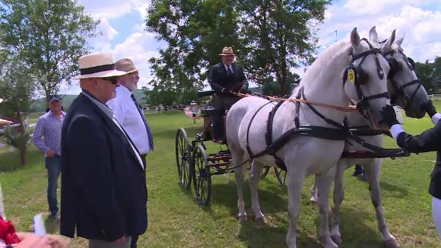 Eleganță şi disciplină la Campionatul Naţional de atelaje cu 2 cai: “Venim în fiecare an”