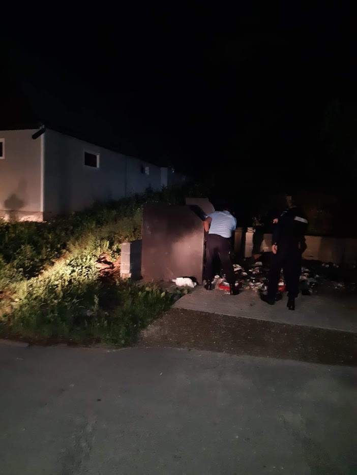 Ursoaică scoasă din tomberon de jandarmi, la Băile Tuşnad