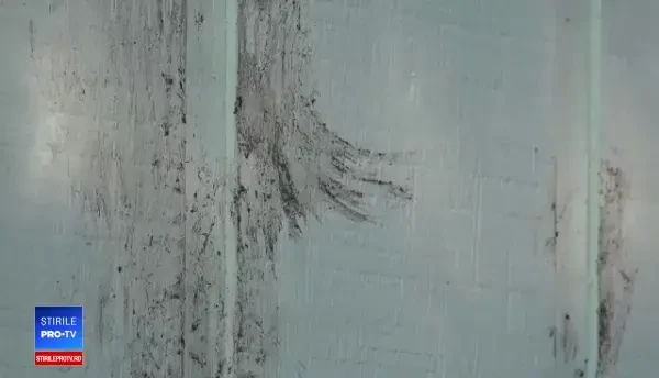 Cuplu vizitat constant de urşi. Intră prin fereastra de la bucătărie şi iau prânzul