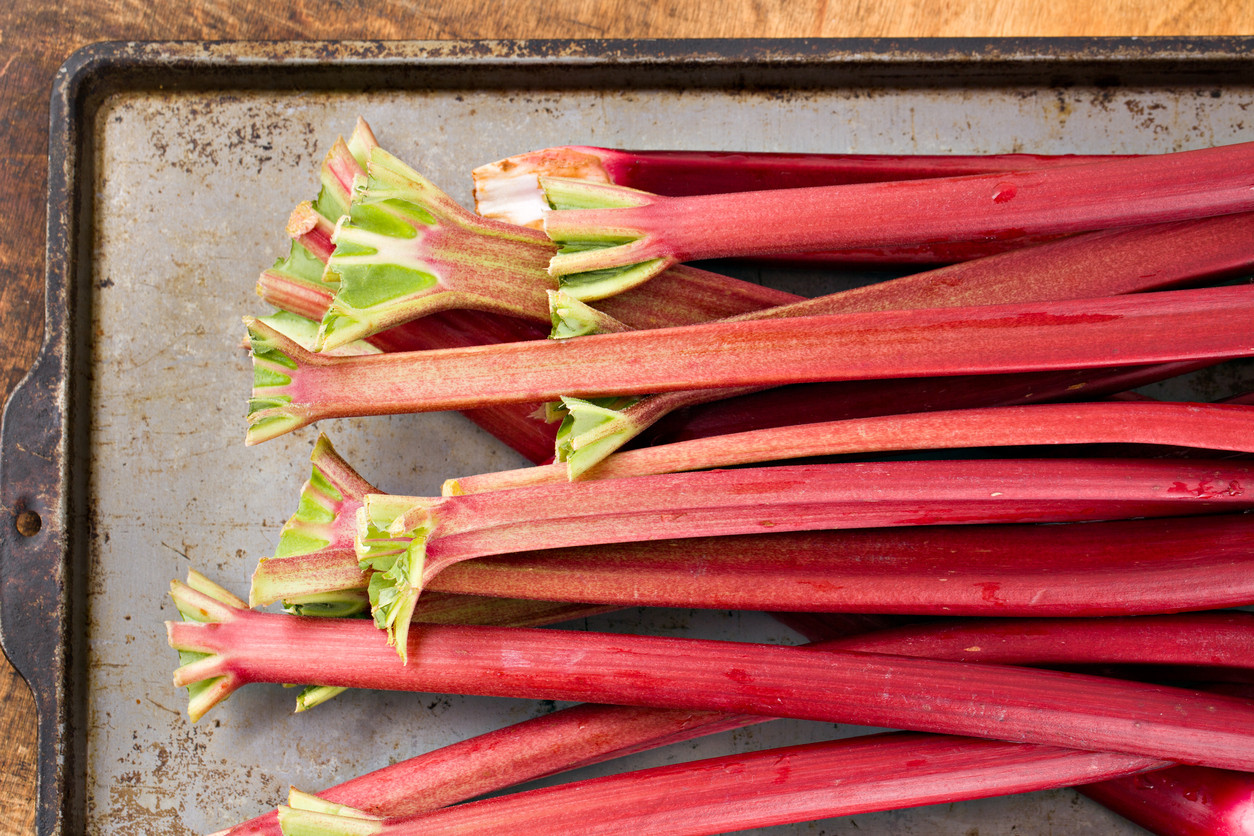 rubarbă