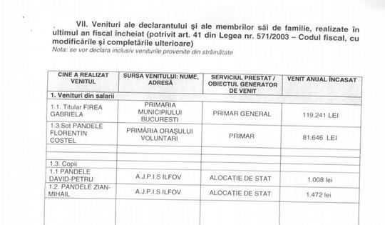 gabriela firea, salariu, avere,