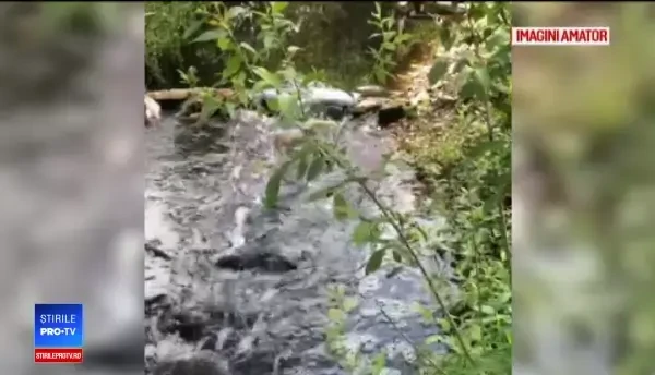 Apa unui pârâu din Gorj a devenit neagră, după ploi. Localnicii reclamă o poluare masivă