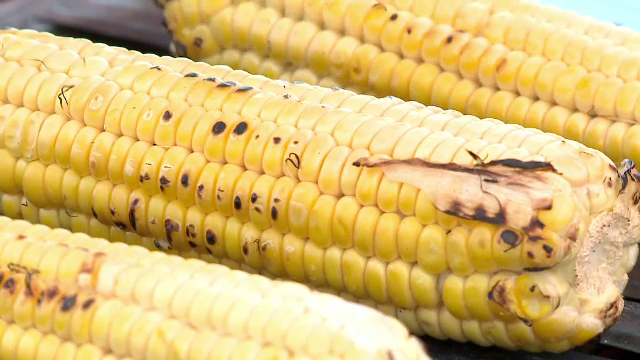 Profit de 10 ori mai mare pentru fermierii care au ales să cultive porumbul timpuriu. E mai sănătos ca pâinea