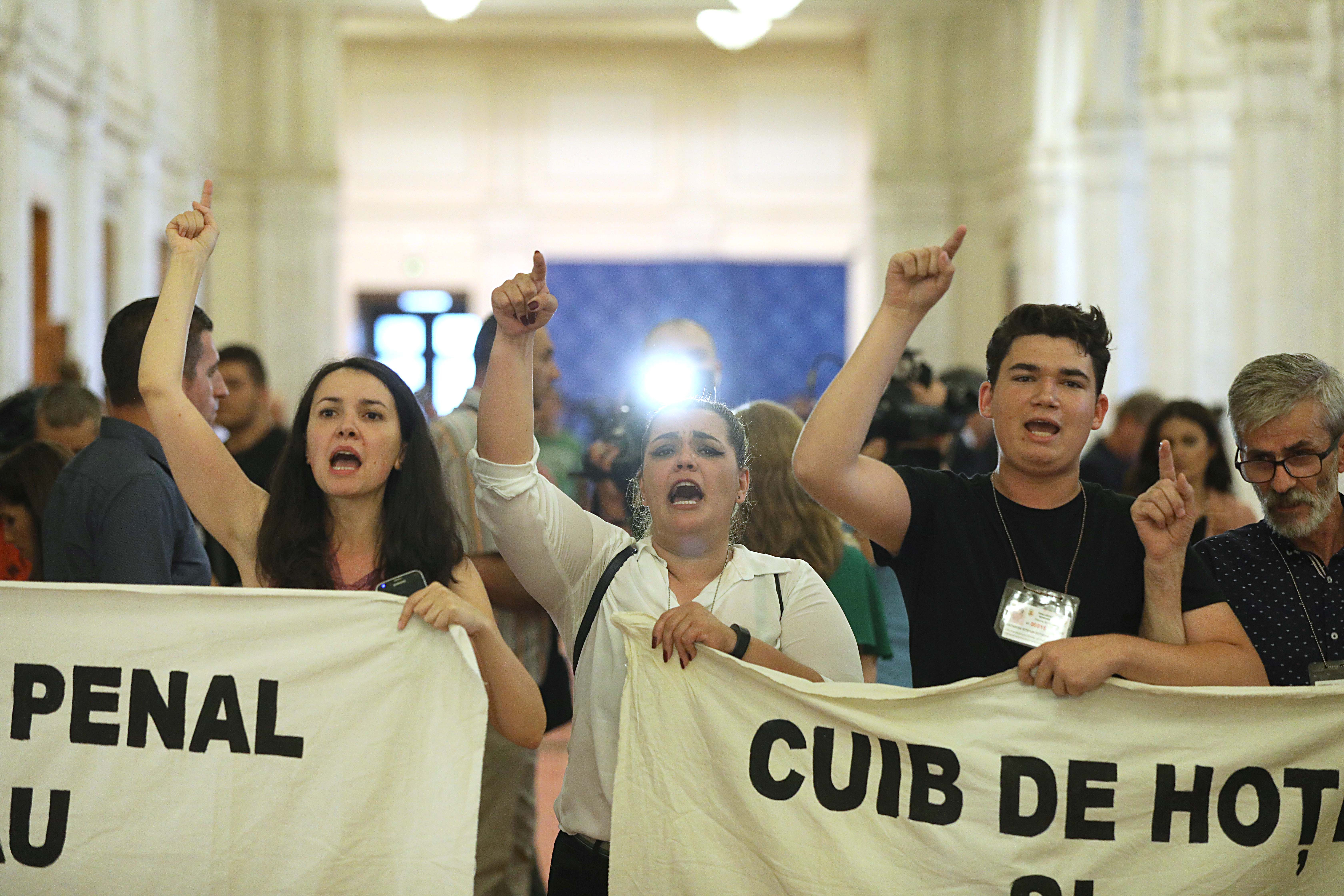 protestatari parlament