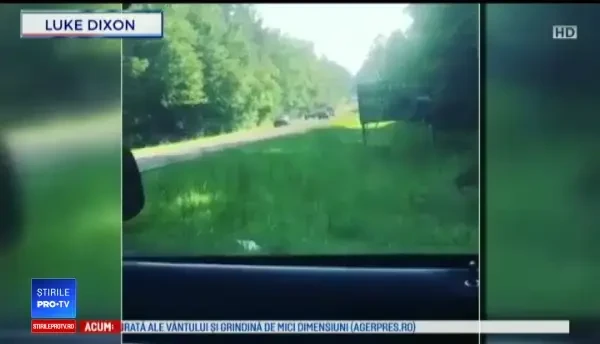 O şoferiţă susţine că ursul i-a distrus maşina, apoi a fugit în pădure