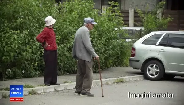 Apartament ieftin, în zonă verde, cu urşi în curte. Cum te fereşti de astfel de surprize