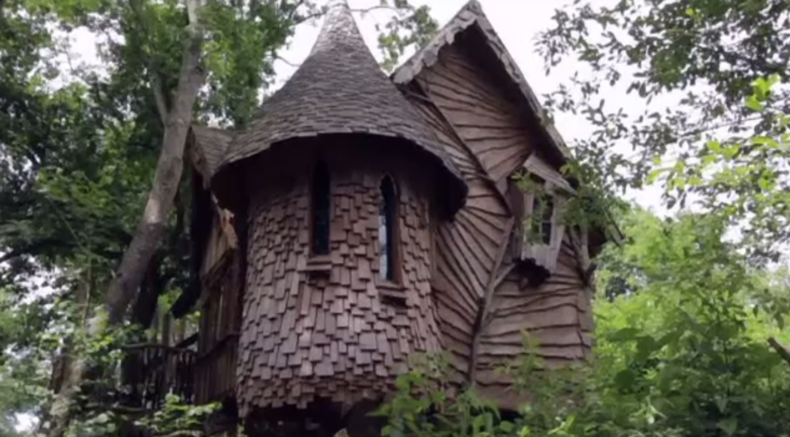 Căsuțele în pădure sau în copaci, noile atracții pentru turiștii britanici