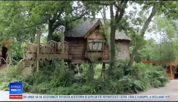 Căsuțele în pădure sau în copaci, noile atracții pentru turiștii britanici