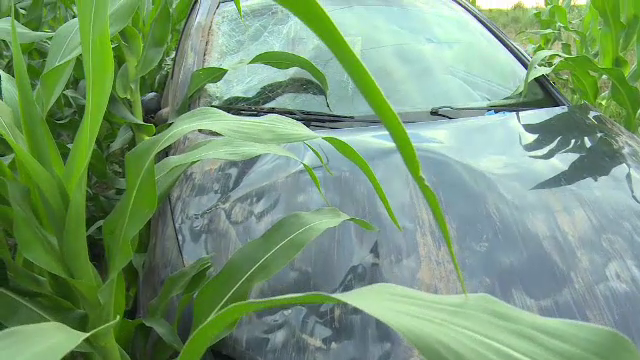 Accident provocat de o șoferiță, în Dâmbovița. Femeia susține că i s-a făcut rău la volan