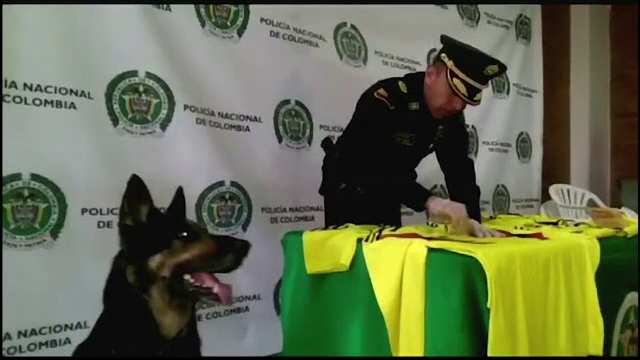 Cum profită traficanții de droguri columbieni de Campionatul Mondial de Fotbal