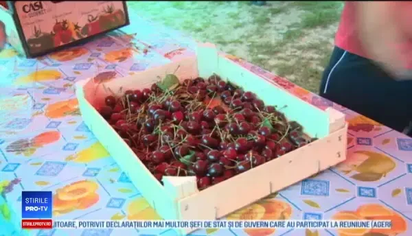 Au plătit 5 lei și au mâncat cât au putut. Festivalul de la Cireșoaia a încântat turiștii