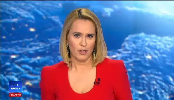 Un cangur a întrerupt un meci de fotbal feminin. A găsit o gaură în gard