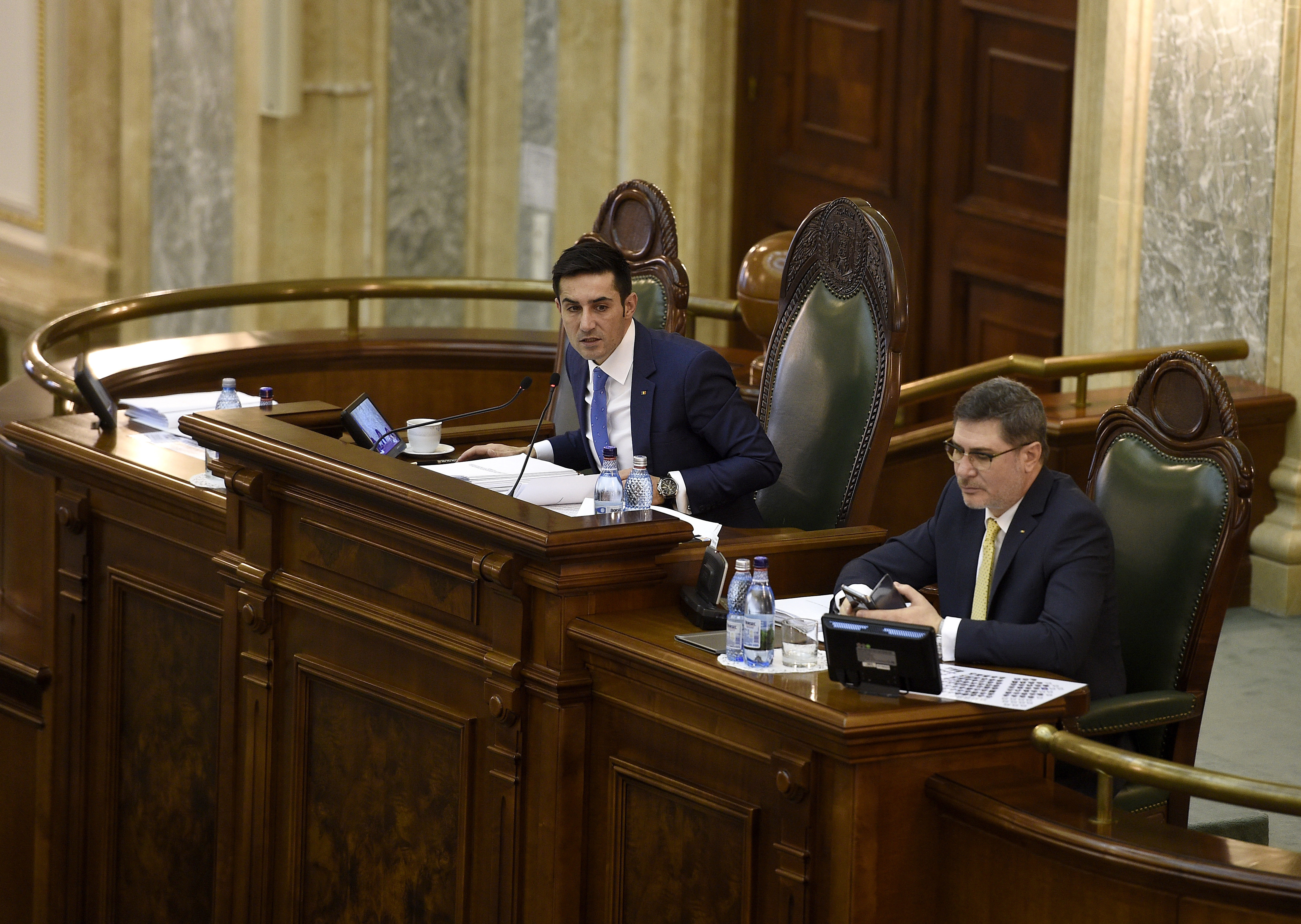 Manda, despre comunicatul ambasadelor privind legislaţia penală: E un pic cam mult