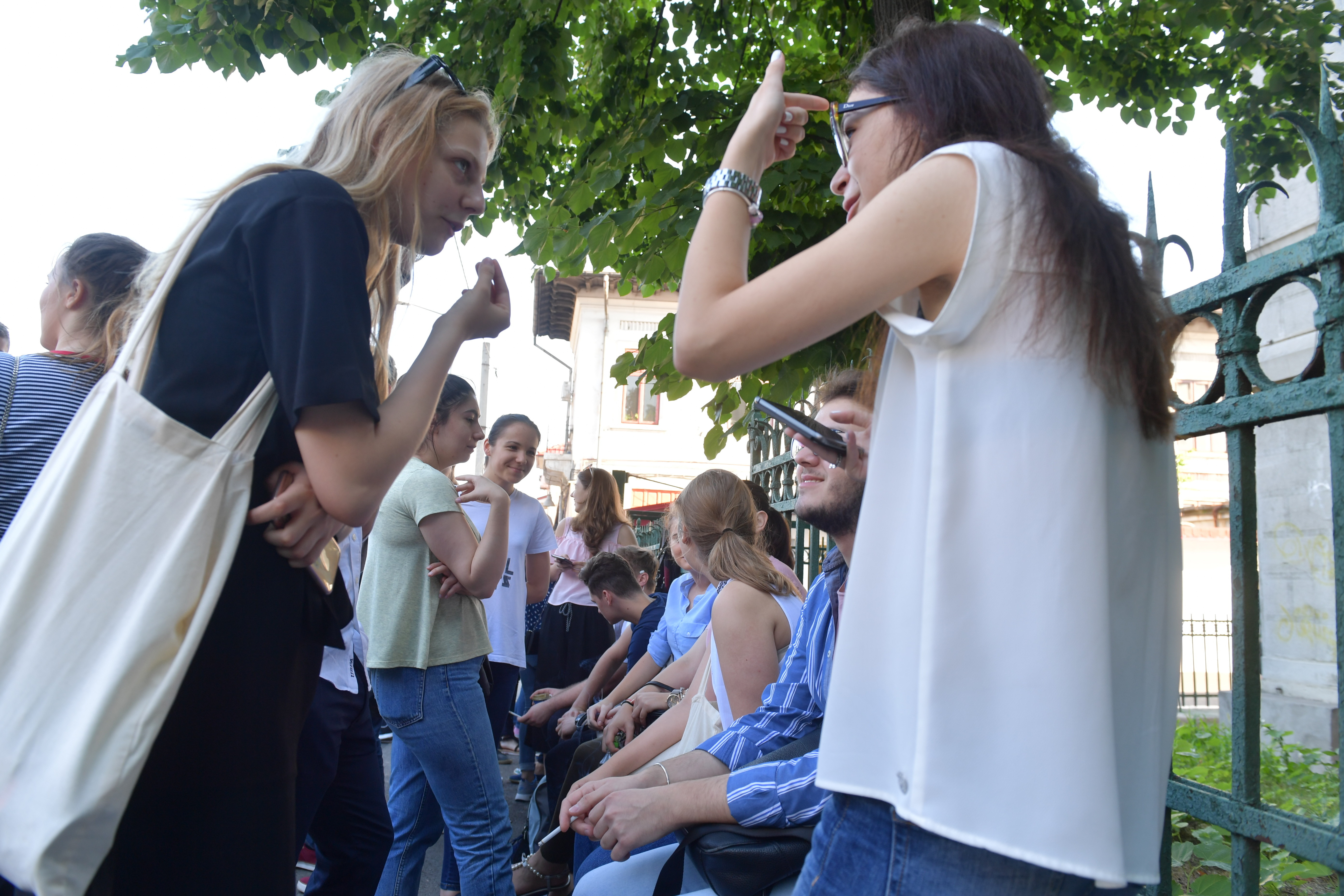 Perle la română la BAC 2018. ”Poetul face figuri interesante, pentru că asta îl atrage pe cititor”