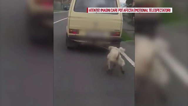 Câine legat de mașină și târât zeci de metri pe asfalt, în Harghita