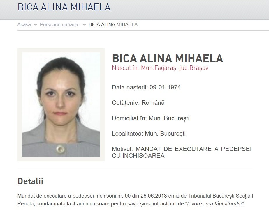 alina bica urmarire generala