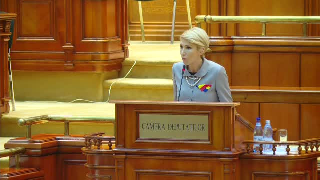PNL cere audierea în Parlament a premierului Dăncilă pe tema protestelor și a pestei porcine